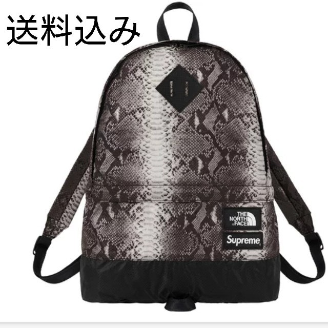 Supreme North Face Snakeskin Day Packバッグパック/リュック