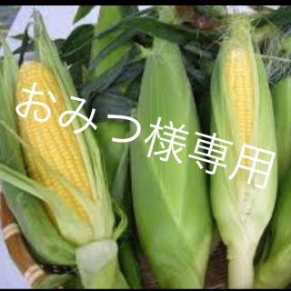 人気ありがとう夏野菜詰め合わせ(野菜)