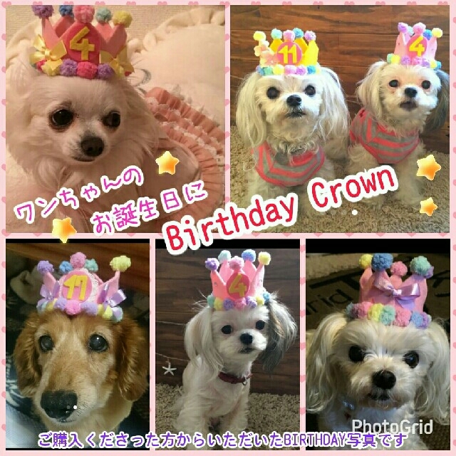 犬猫バースデークラウンribbonデザイン 犬猫誕生日ティアラ 帽子の通販 By Ami S Shop ラクマ