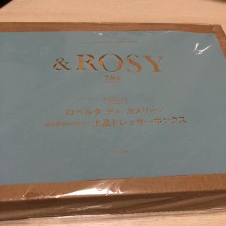 タカラジマシャ(宝島社)の＆ROSY7月号付録 上品ドレッサーボックス(その他)