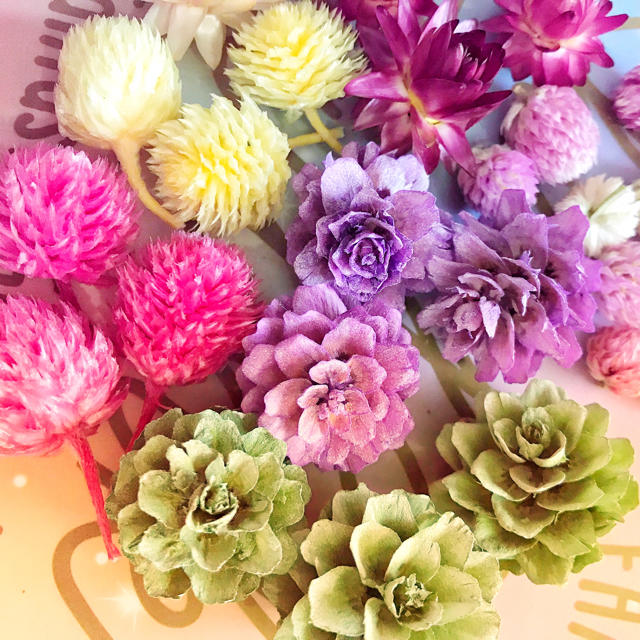 まんまるコロコロ花材セット☆ ハンドメイドのフラワー/ガーデン(プリザーブドフラワー)の商品写真