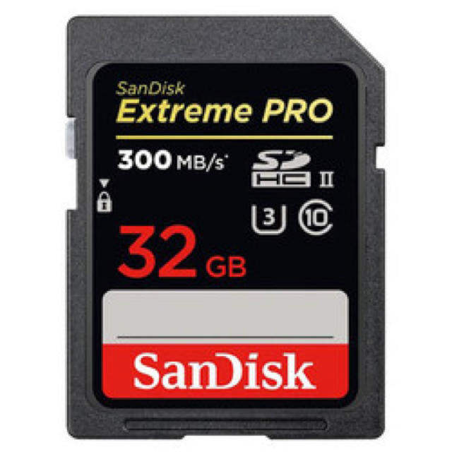 サンディスク 32GB SANDISK SDSDXPK-032G-JNJIP