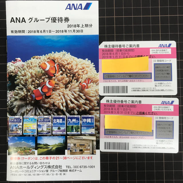 【オンライン限定商品】  ANA グループ優待券2枚 航空券
