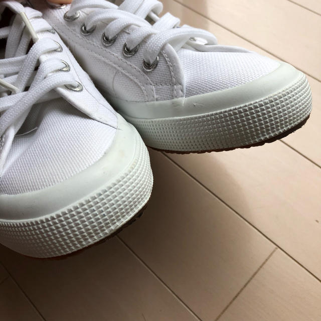 SUPERGA(スペルガ)のSUPERGA ミッドカットスニーカー レディースの靴/シューズ(スニーカー)の商品写真