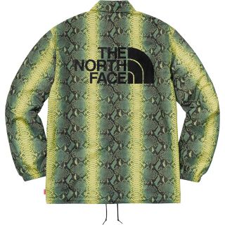 シュプリーム(Supreme)のレア Supreme×The north face コーチジャケット グリーン(ナイロンジャケット)