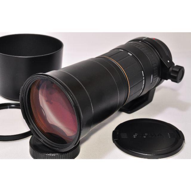 SONY - SIGMA AF 170-500 APO 【ソニー・MINOLTA用】