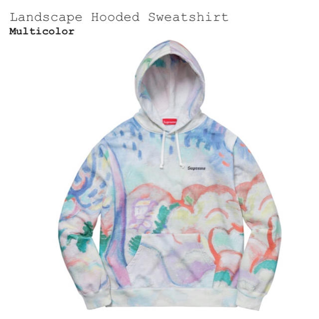 supreme landscape hooded sweatshirt
