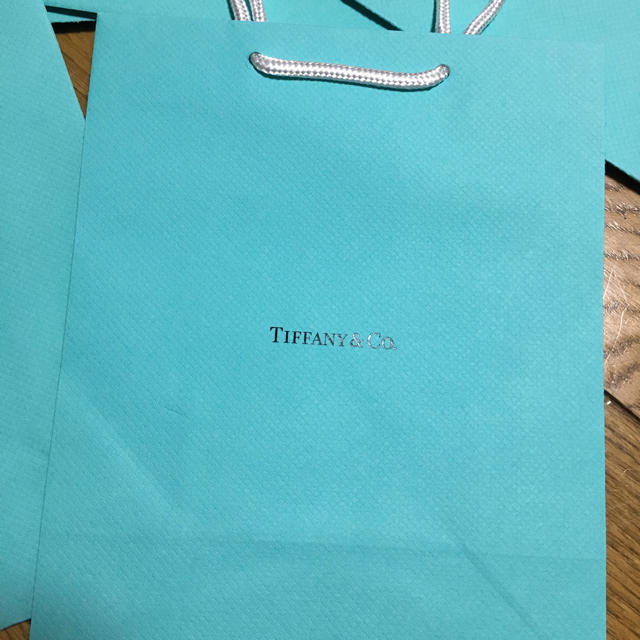 Tiffany & Co.(ティファニー)のティファニー Tiffany 紙袋 新品未使用 レディースのバッグ(ショップ袋)の商品写真