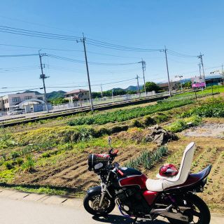 cb400sf nc31 チョビ３段シート