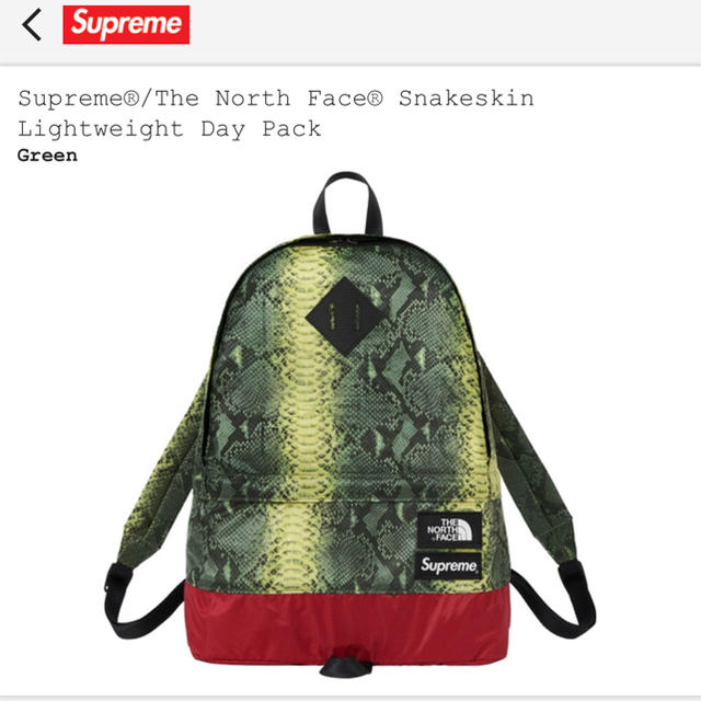 Supreme North Face Snakeskin  Day Packバッグ