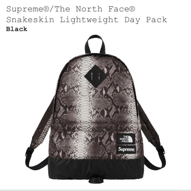 【送料込み】Supreme®︎/ TheNorthFace®︎ バックパック 1