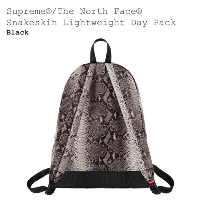 【送料込み】Supreme®︎/ TheNorthFace®︎ バックパック 2