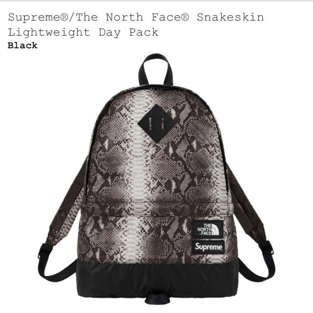 Supreme TNF Lightweight day pack