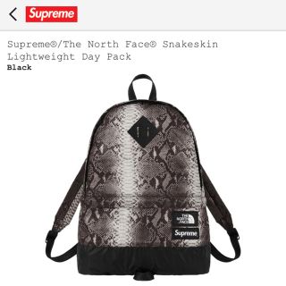 シュプリーム(Supreme)の【送料込】Supreme × The North Face Day Pack(バッグパック/リュック)