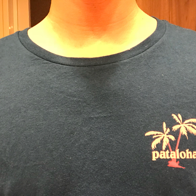 patagonia(パタゴニア)のパタゴニア ハワイ限定 メンズのトップス(Tシャツ/カットソー(半袖/袖なし))の商品写真