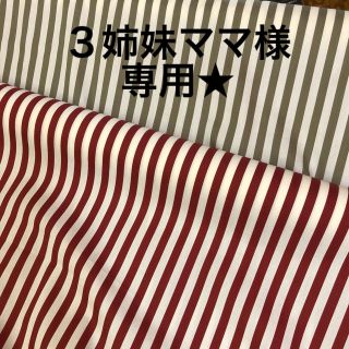 3姉妹ママ様専用★(生地/糸)