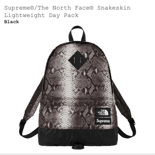 Supreme north face day pack snakeskinのサムネイル