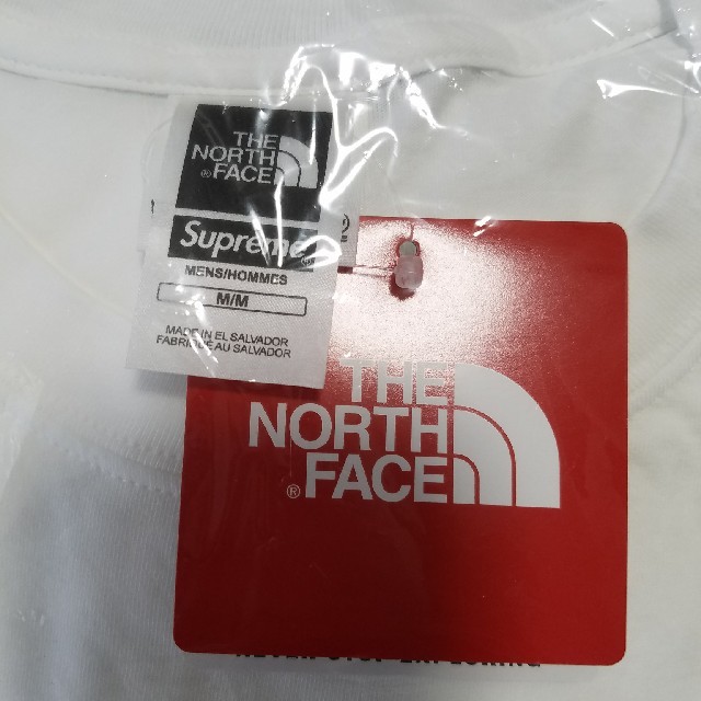 Tシャツ/カットソー(半袖/袖なし)Supreme The North Face Mountain Tee 白M
