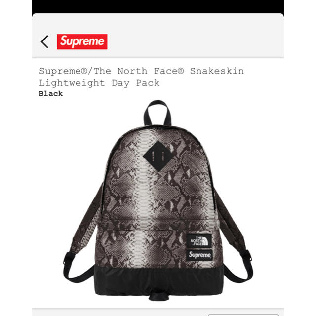 Supreme/The north face  bag