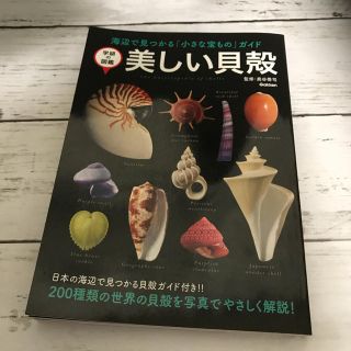 ガッケン(学研)の美しい貝殻 学研 図鑑(趣味/スポーツ/実用)