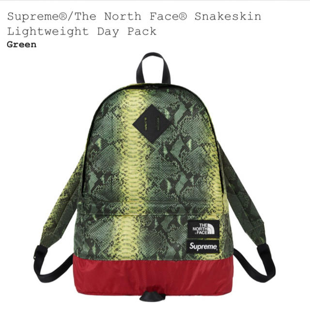 Supreme The North Face Snakeskin DayPack