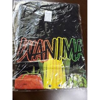 ワニマ(WANIMA)のWANIMA 未開封 Tシャツ 新品 サイズM(ミュージシャン)