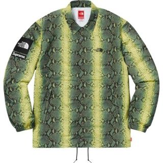 シュプリーム(Supreme)のM サイズ supreme the north face snakeskin (ナイロンジャケット)