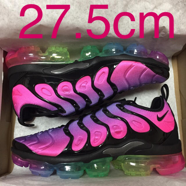 NIKE(ナイキ)の27.5 NIKE LAB AIR VAPORMAX PLUS BETRUE  メンズの靴/シューズ(スニーカー)の商品写真