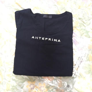 アンテプリマ(ANTEPRIMA)のアンテプリマ Tシャツ(Tシャツ(半袖/袖なし))