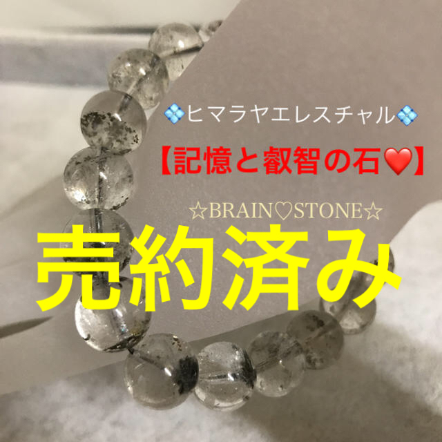 激安正規 2 特選一品 最強浄化力❤️ 3broadwaybistro.com