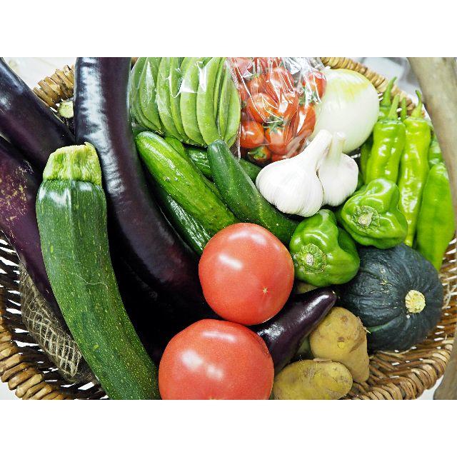 農家直売　野菜詰合せ　100サイズ　熊本産 食品/飲料/酒の食品(野菜)の商品写真