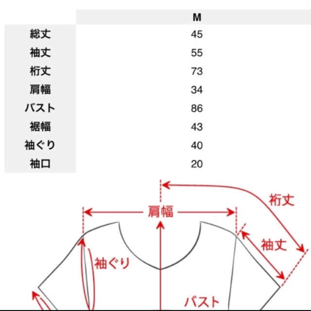 fifth(フィフス)のfifth レーストップス レディースのトップス(シャツ/ブラウス(長袖/七分))の商品写真