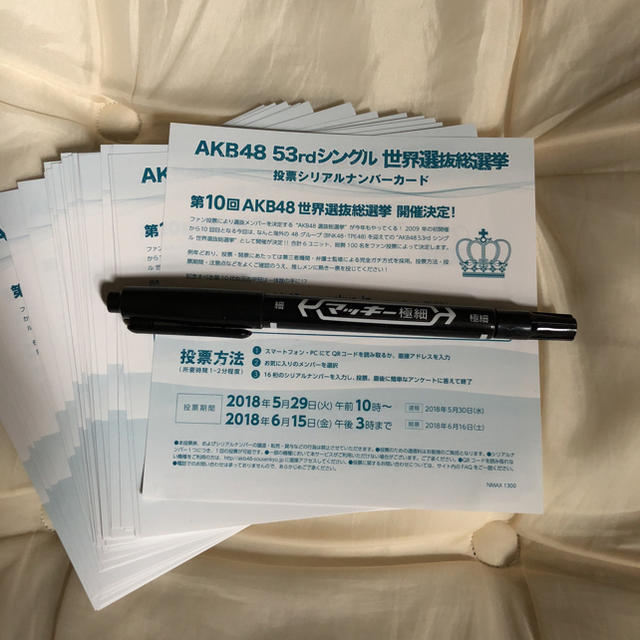 AKB48 53rdシングル 世界選抜総選挙 投票券 10枚