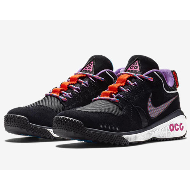 NIKE ACG DOG MOUNTAIN 29cm ナイキ ドッグマウンテン お買い得