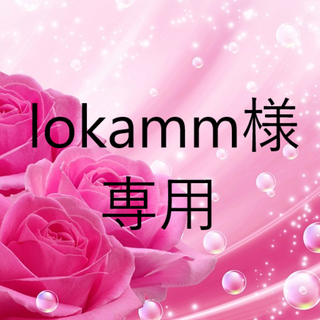 lokamm様専用　お米　H29　愛媛県産あきたこまち　白米　30㎏(米/穀物)
