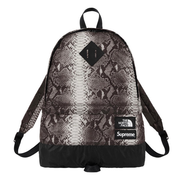 定価以下 送料込 Snakeskin Lightweight Day Pack