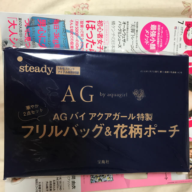 AG by aquagirl(エージーバイアクアガール)のステディ7月号付録 エンタメ/ホビーの雑誌(ファッション)の商品写真