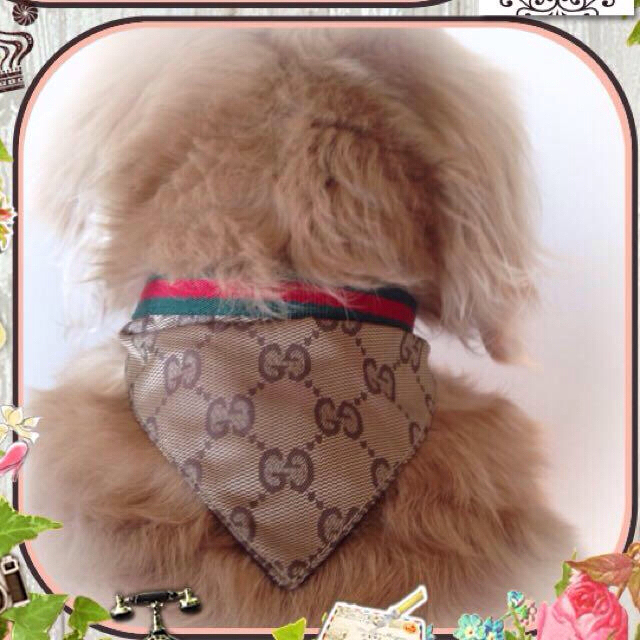 Gucci Gucci 犬用バンダナの通販 By Dbond グッチならラクマ