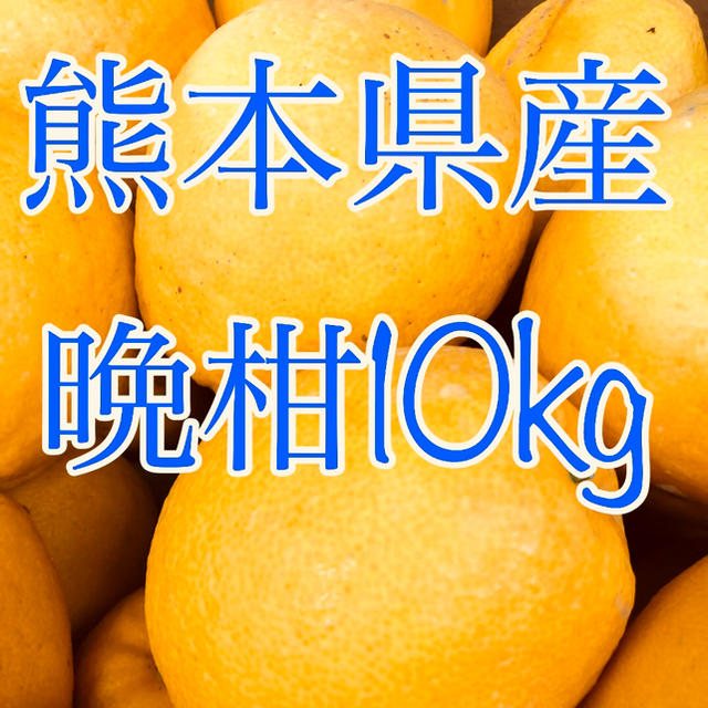 熊本県産 晩柑 10kg  食品/飲料/酒の食品(フルーツ)の商品写真