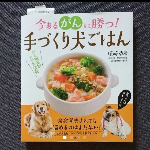 今あるがんに勝つ 手作り犬ごはん 手作りごはん 栄養の通販 By ぬんちゃん S Shop ラクマ