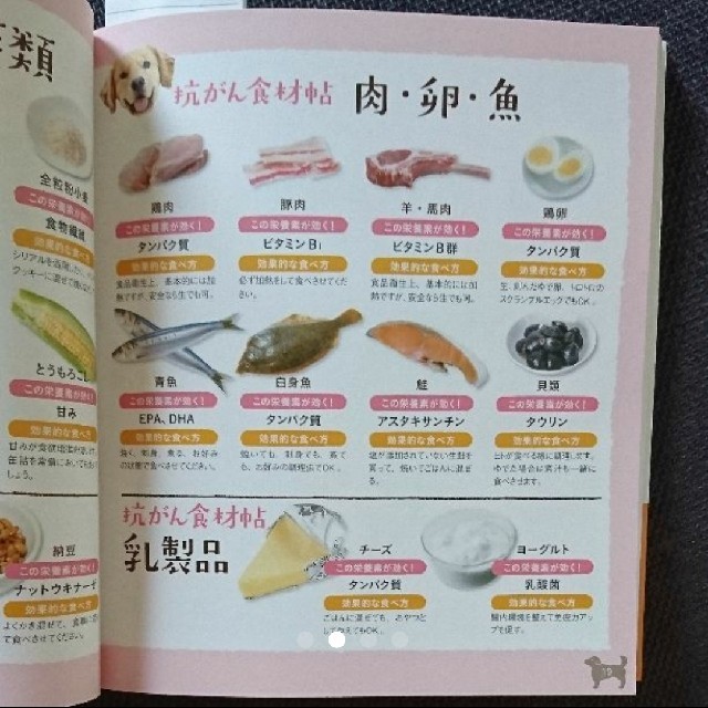 今あるがんに勝つ 手作り犬ごはん 手作りごはん 栄養の通販 By ぬんちゃん S Shop ラクマ