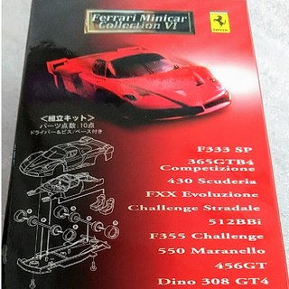 Ferrari - 未組立 京商フェラーリコレクション FXXEvoluzione ...