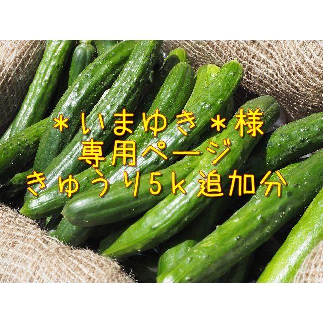 ＊いまゆき＊様専用ページ　きゅうり5ｋ追加分♪ 食品/飲料/酒の食品(野菜)の商品写真