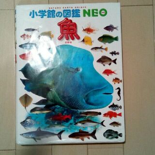 りかさま専用ページです！小学舘の図鑑　NEO  魚(絵本/児童書)