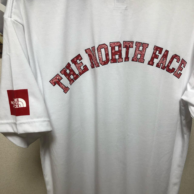 THE NORTH FACE(ザノースフェイス)のTHE NORTH FACE Tech Tee Tシャツ ペイズリー バンダナ メンズのトップス(Tシャツ/カットソー(半袖/袖なし))の商品写真