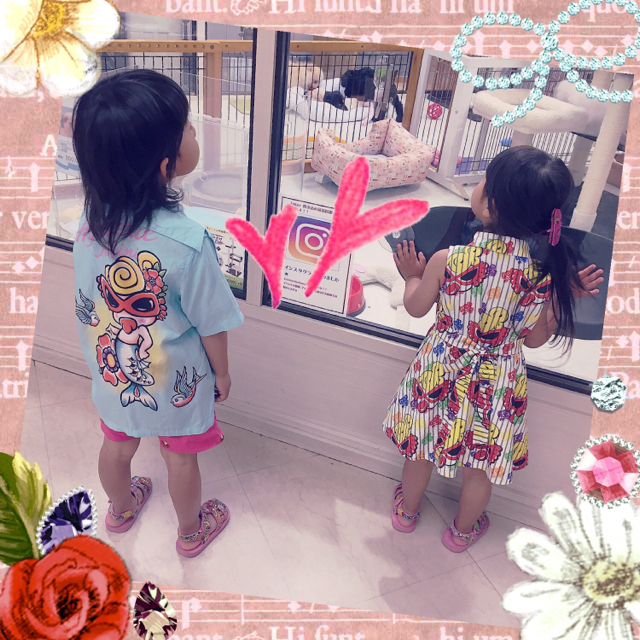 特価 Yuichan❀ 専用 様 - その他 - www.ustavnisud.me 特価 Yuichan❀ 専用 様 - その他 - www.ustavnisud.me