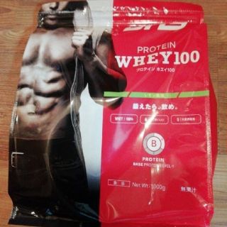 ディーエヌエス(DNS)のプロテイン　WHEY 100(プロテイン)