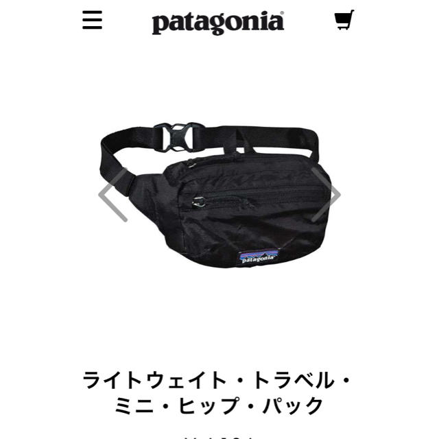 patagonia(パタゴニア)のライトウェイト・トラベル・ミニ・ヒップ・パック レディースのバッグ(ボディバッグ/ウエストポーチ)の商品写真