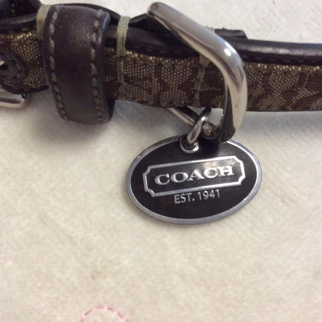 COACH(コーチ)のCOACH  カラー その他のペット用品(犬)の商品写真