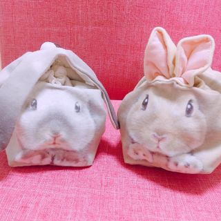 フェリシモ(FELISSIMO)の🐰うさぎ巾着ポーチ 2種類🐰(ポーチ)